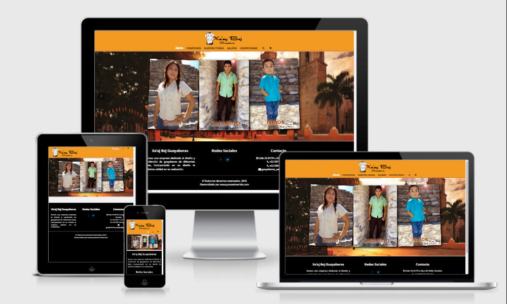 desarrollo web - diseño de paginas web